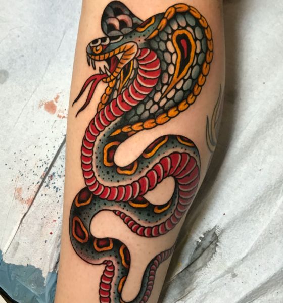 American Traditional Snake Tattoo
