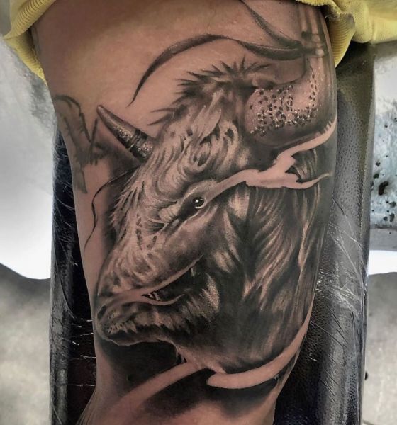 Animal Tattoo on Bicep