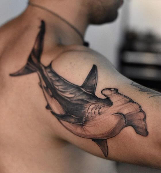 Best Hammerhead Tattoo Design Ideas