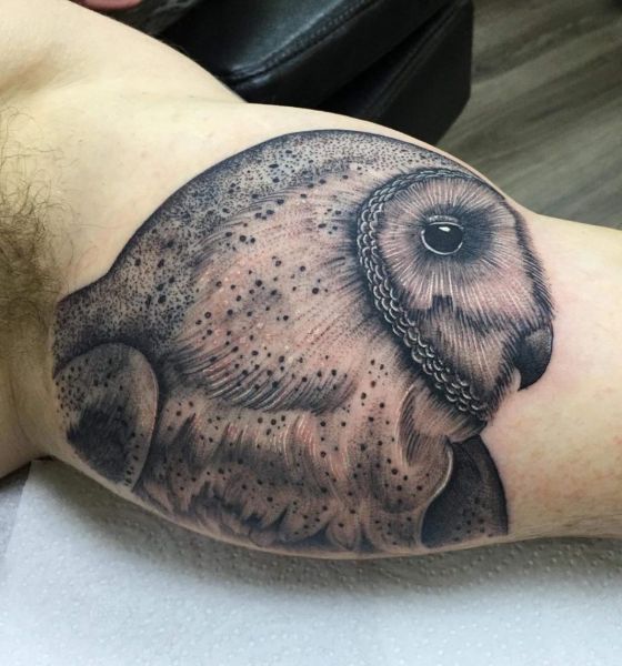 Bird Tattoo Design on Bicep