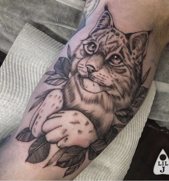Cat Tattoo Design on Inner Bicep