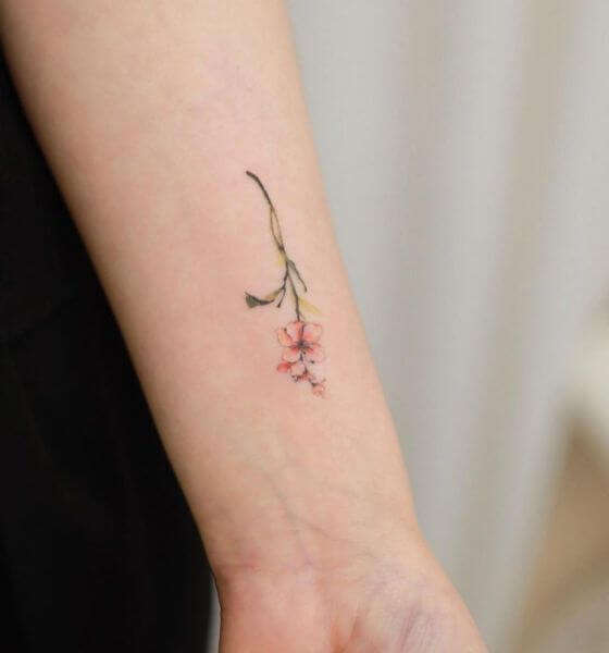 Tattoo uploaded by Tattoodo  Cherry blossom tattoo by Tattoo Art by Hailey  Tattooartbyhailey cherryblossomtattoos cherryblossom flowers floral  nature plant cherryblossomtattoo fineline illustrative tiny small  minimal armtattoo  Tattoodo