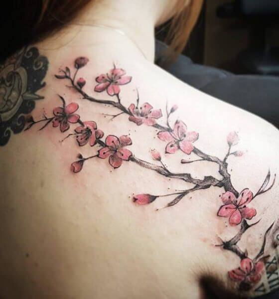 Chinese Cherry Blossoms Tattoo Design