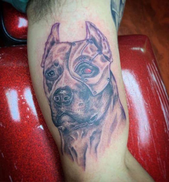 Dog Tattoo Design on Inner Bicep