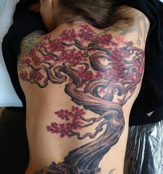 Full Back Japanese Cherry Blossom Tree with Branches Tattoo Designs