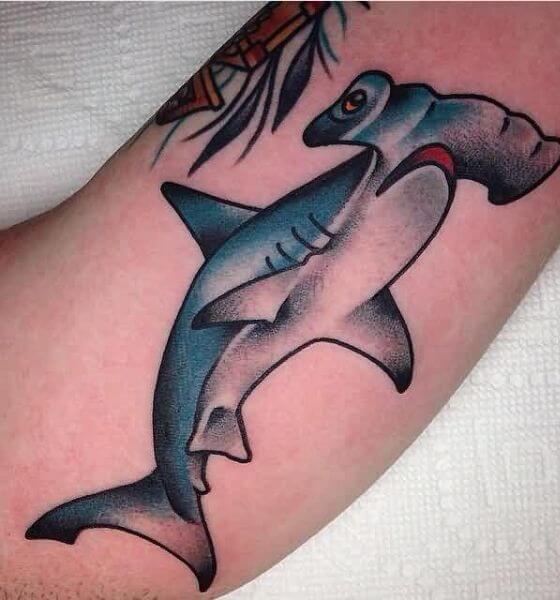 Tattoo uploaded by Peter Yates  My 1st tattoo sketch of a black tip reef  shark on inner bicep shark sketch greyscale flamineighttattoo  Tattoodo