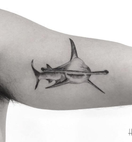 Hammerhead Shark Tattoo on Bicep