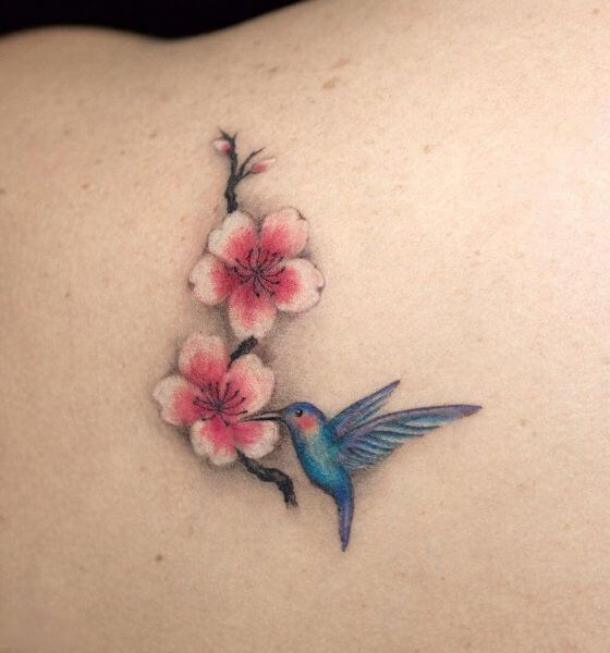 Hummingbird Cherry Blossom Tattoo on Back
