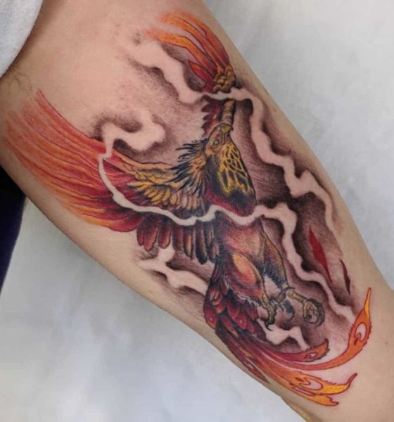 Phoenix Tattoo on Bicep