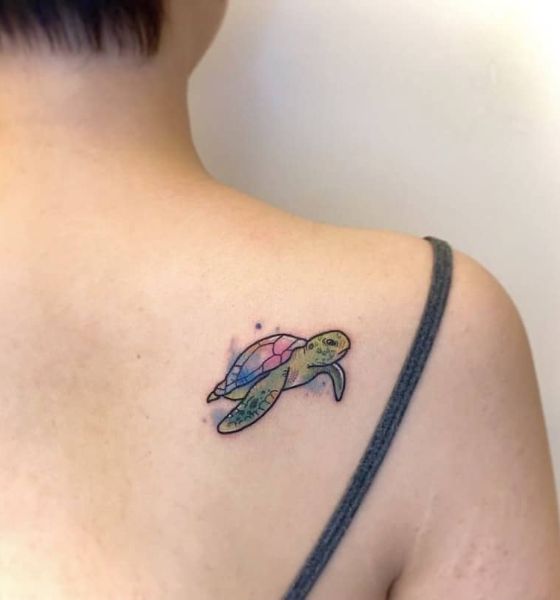 40 Cutest Turtle Tattoo Ideas - Latest Tattoo Designs 40 Cutest Turtle Tattoo Ideas - Latest Tattoo Designs