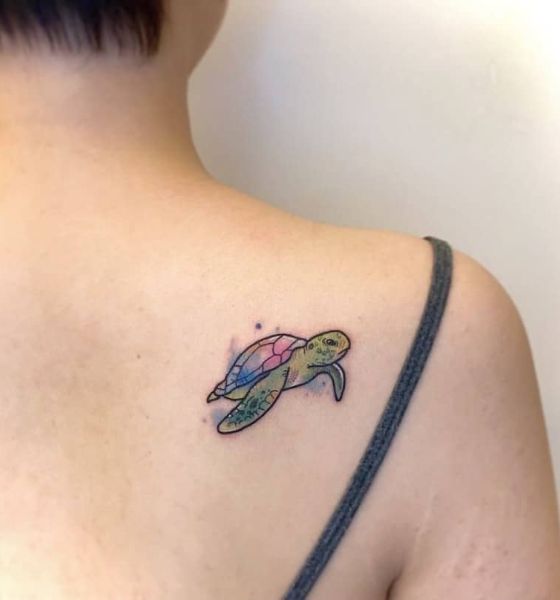 40 Cool Example of Sea turtle Tattoo and Their Meaning