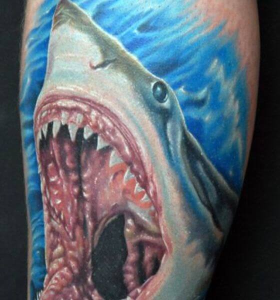 Shark In Pain Tattoo Design