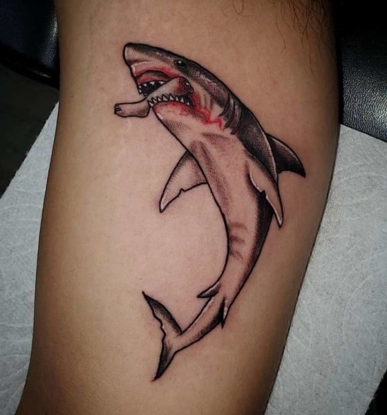 Shark Tattoo Design on Inner Bicep
