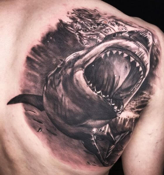 Shark Tattoo on Back