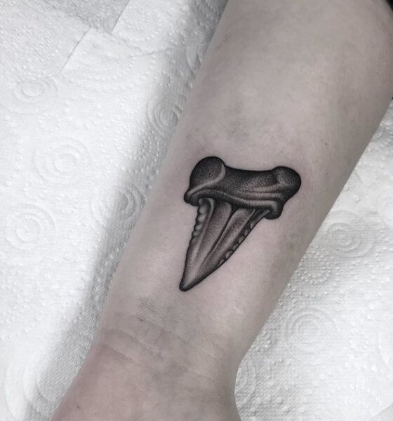 Shark Tooth Tattoo Design