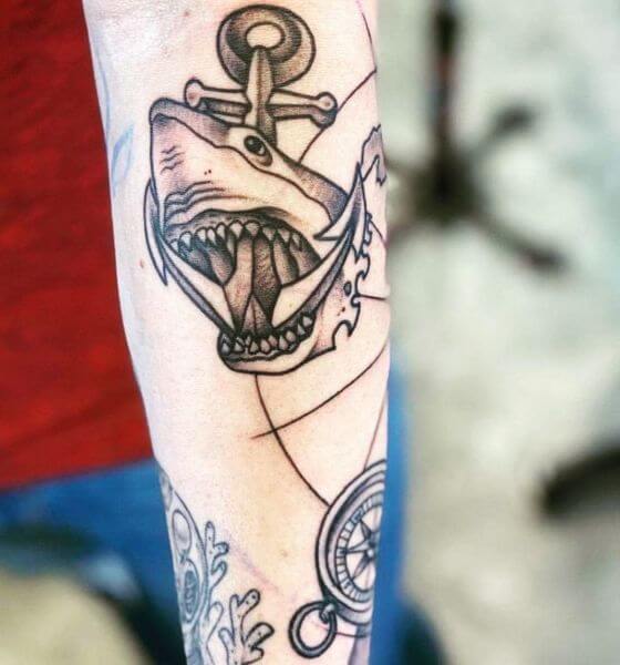 Shark with Anchor Tattoo Designs