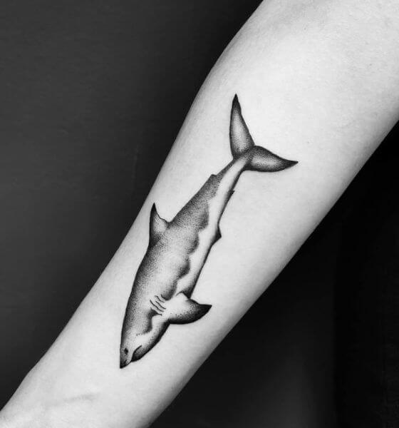 Simple Shark Tattoo