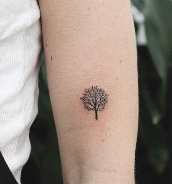 Small Tree of Life Tattoo