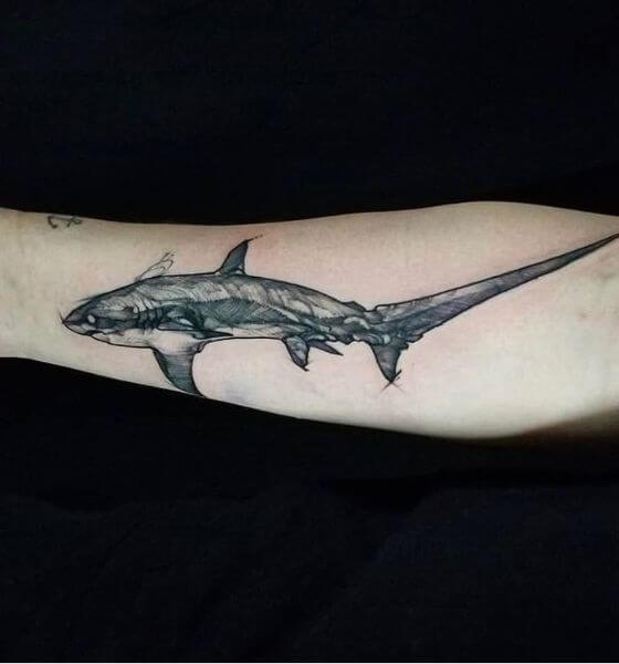 Thresher Shark Tattoo Design