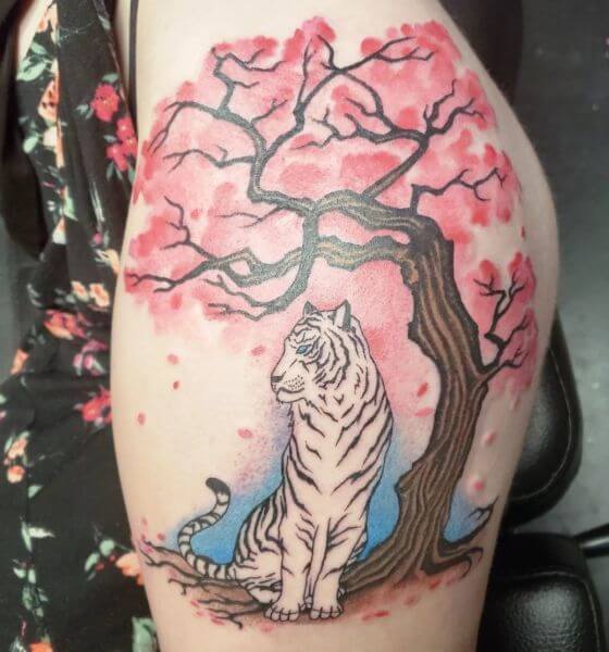 Tiger With Cherry Blossom Tree Tattoo Designs
