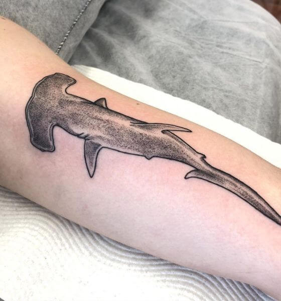 Traditional Hammerhead Shark Tattoo Design