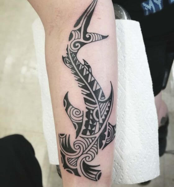 Tribal Shark Tattoo Design on Hand