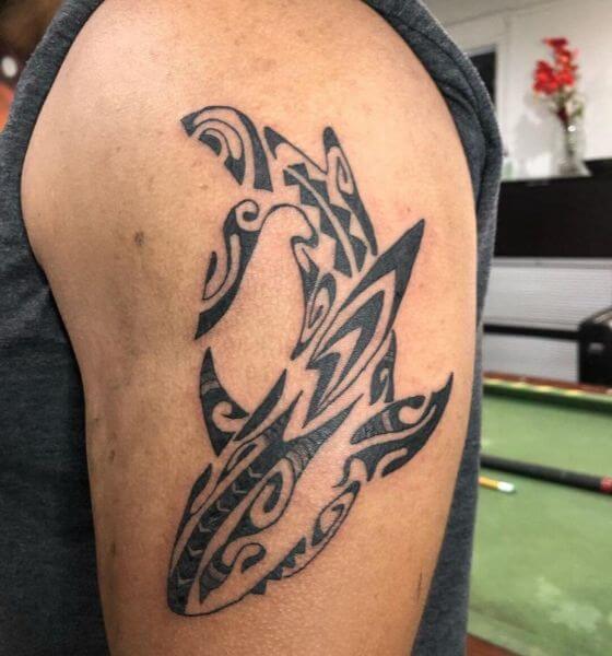 Tribal Shark Tattoo on Bicep