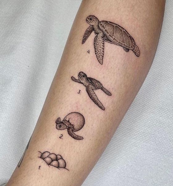 Turtle Tattoo Design on Hand