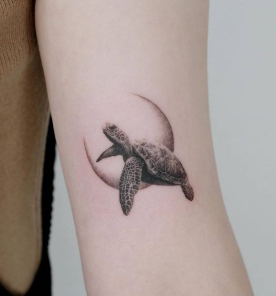 Turtle Tattoo