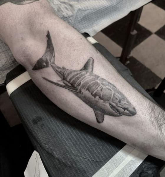 White Shark Tattoo Design