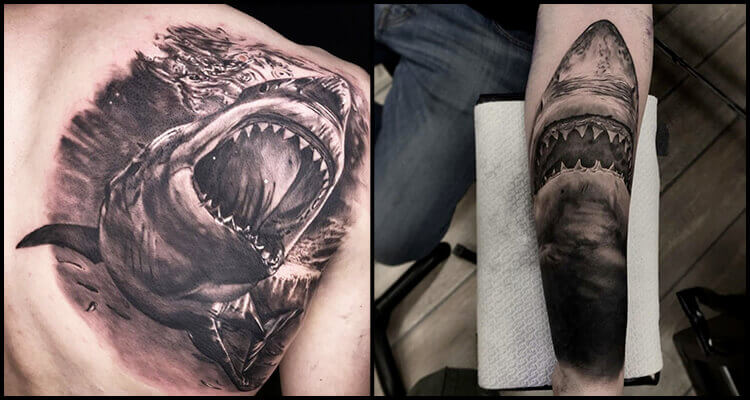 Shark tattoo on the right inner arm  Shark tattoos Small shark tattoo  Minimalist tattoo