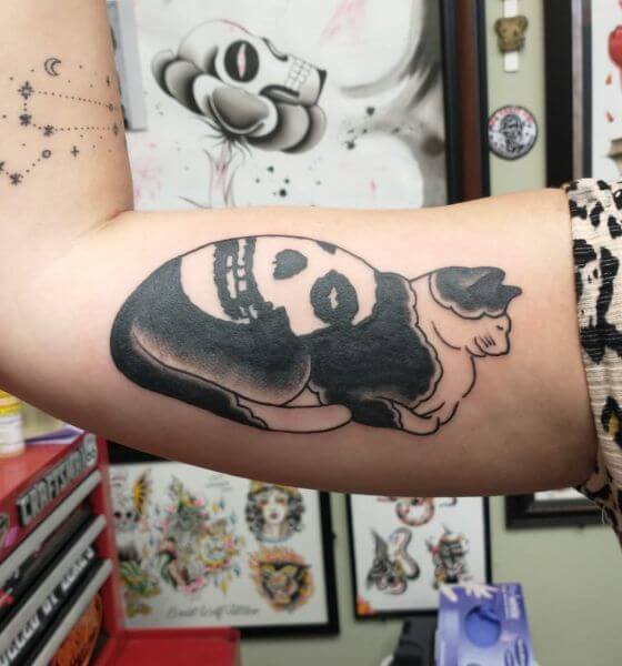 Black Cat With Skull Tattoo Designs on Bicep