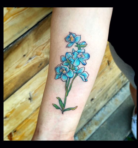 Colorful Larkspur Tattoo Design