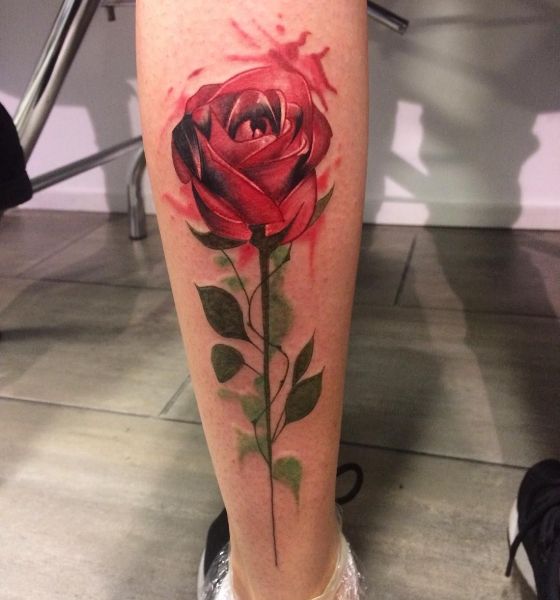 Gorgeous Rose Tattoo on Calf