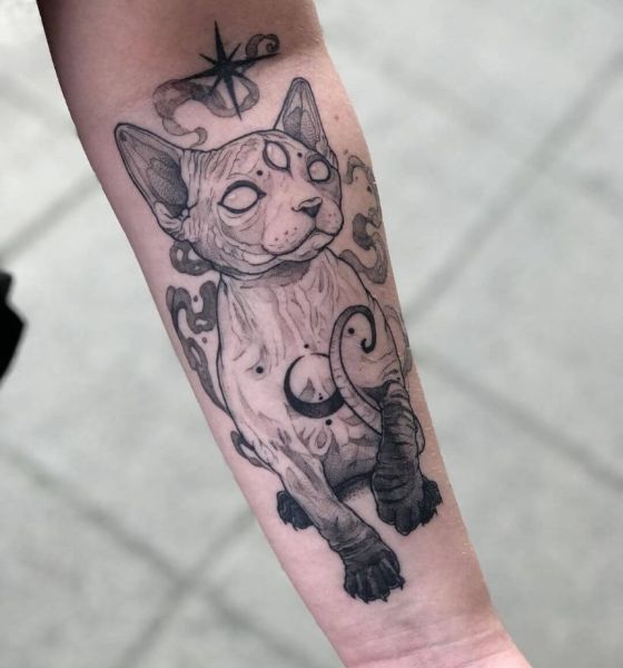 Goth Sphynx Cat Tattoo on Forearm