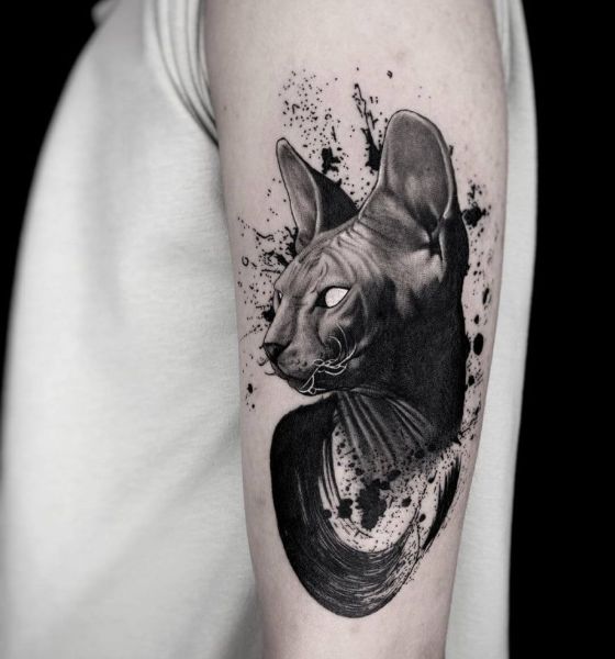 Neo Traditional Sphynx Cat Tattoo Design