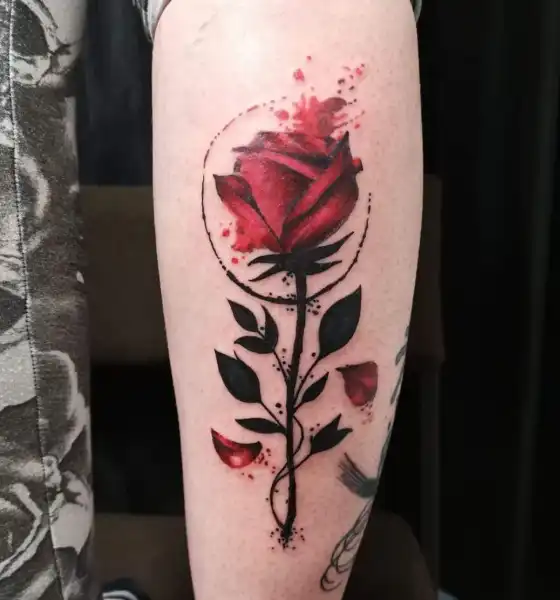Red Rose Tattoo Design on Calf