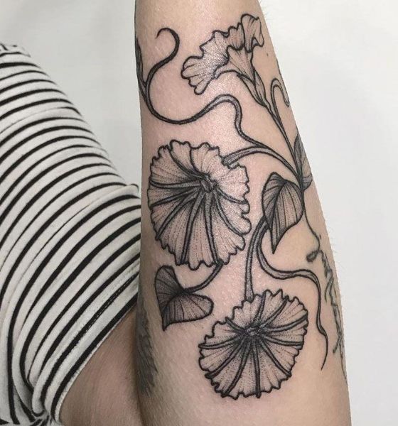 EWE Tattoo on Instagram  DID YOU KNOW  The morning glory flower is a  flower of duality The Victorian meaning of morning glory is either love or  mortality In C