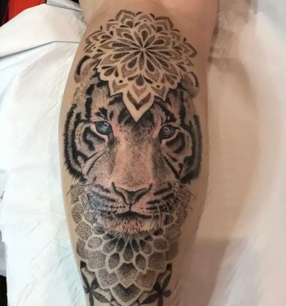 Stunning Tiger Tattoo on Calf