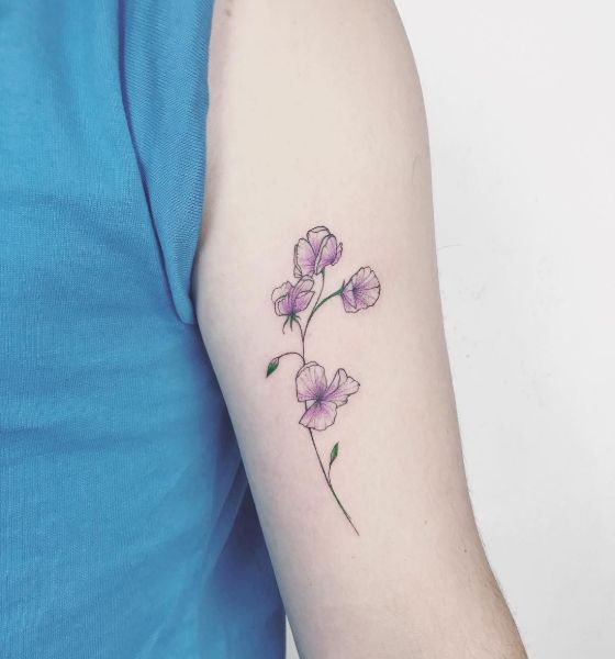 April Birth Flower Tattoos 30 Daisy  Sweet Pea Ideas  100 Tattoos