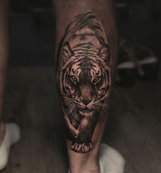 Tiger Tattoo on Calf