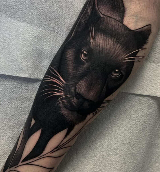 Traditional Panther Tattoos  Cloak and Dagger Tattoo London