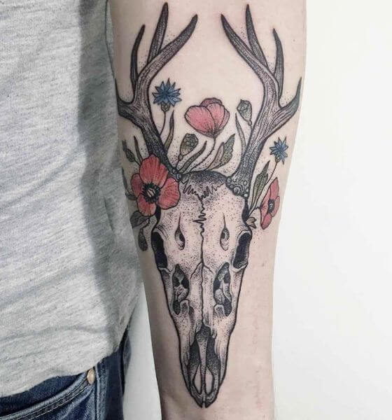 Deer Skull Tattoo