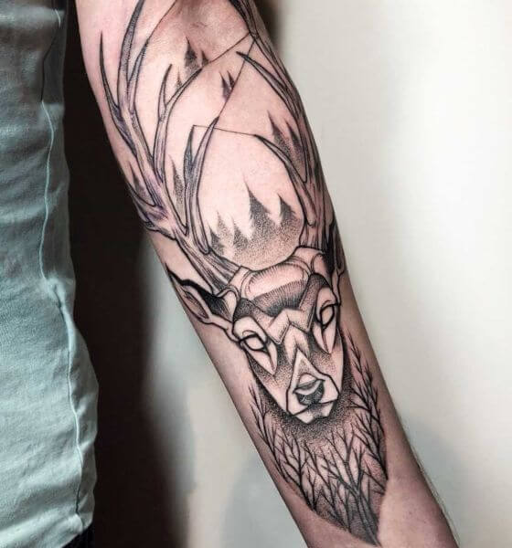Deer Tattoo on Forearm