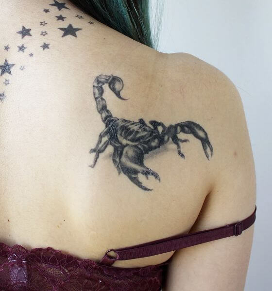Scorpion Temporary Tattoo 