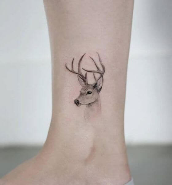 Small Deer Tattoo on Ankle