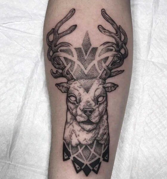Unique Deer Tattoo Design