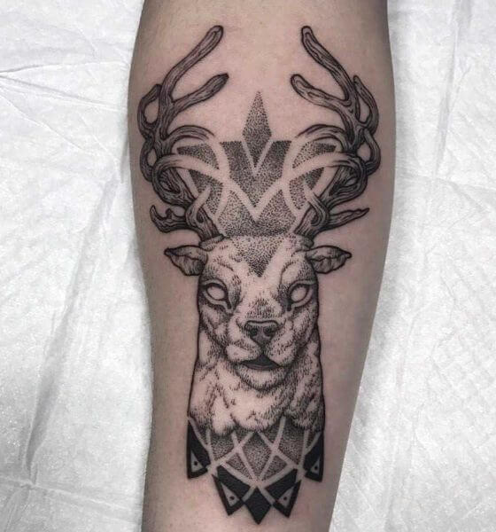 20 Cool Deer Skull Tattoos Youll Adore  Spiritustattoocom