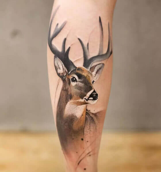 Whitetail Deer Tattoo