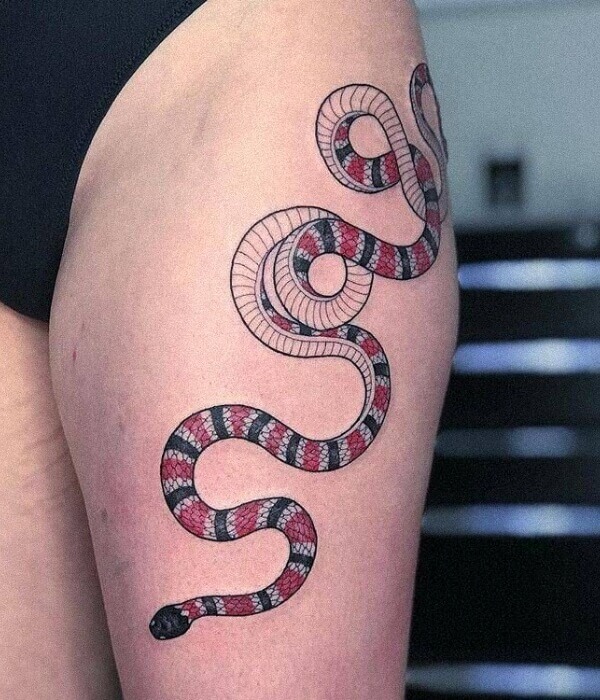 1209 Coral Snake Tattoo Images Stock Photos  Vectors  Shutterstock